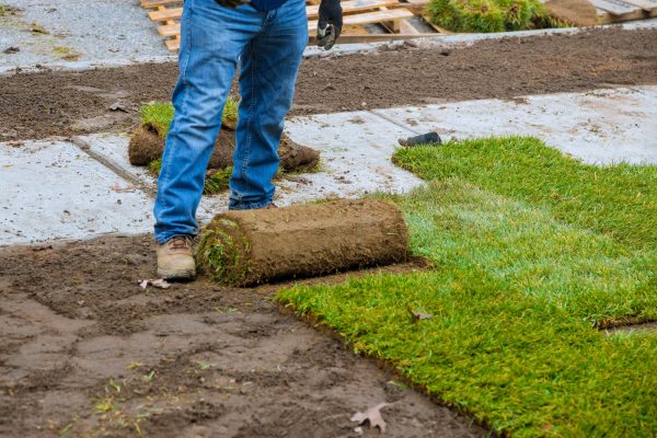Hands in gardening laying green grass sod rolls installing on the lawn